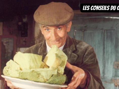 Les conseils du Claude